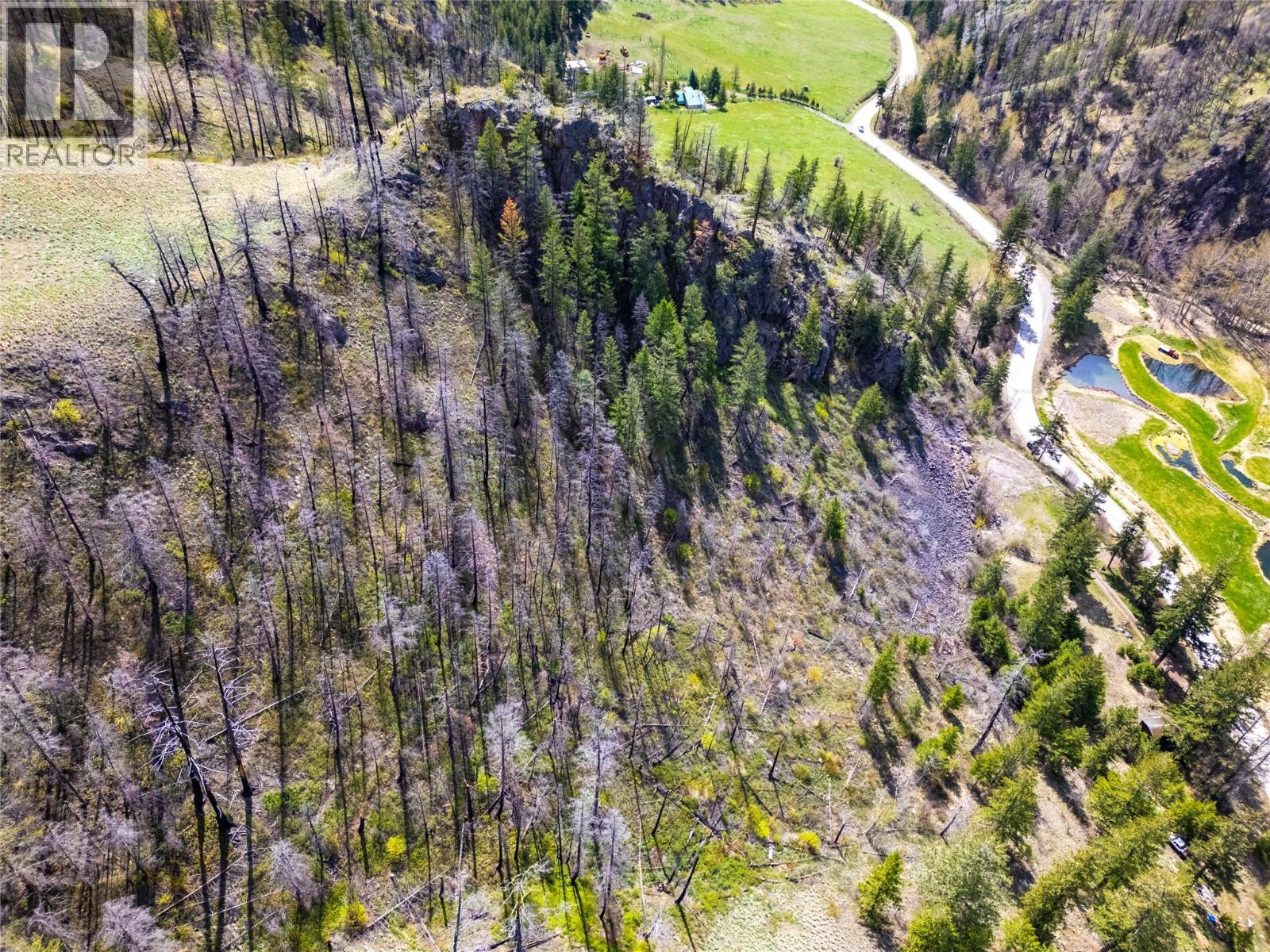 2603 Green Mountain Road, Keremeos, British Columbia  V0X 1N6 - Photo 14 - 10382607