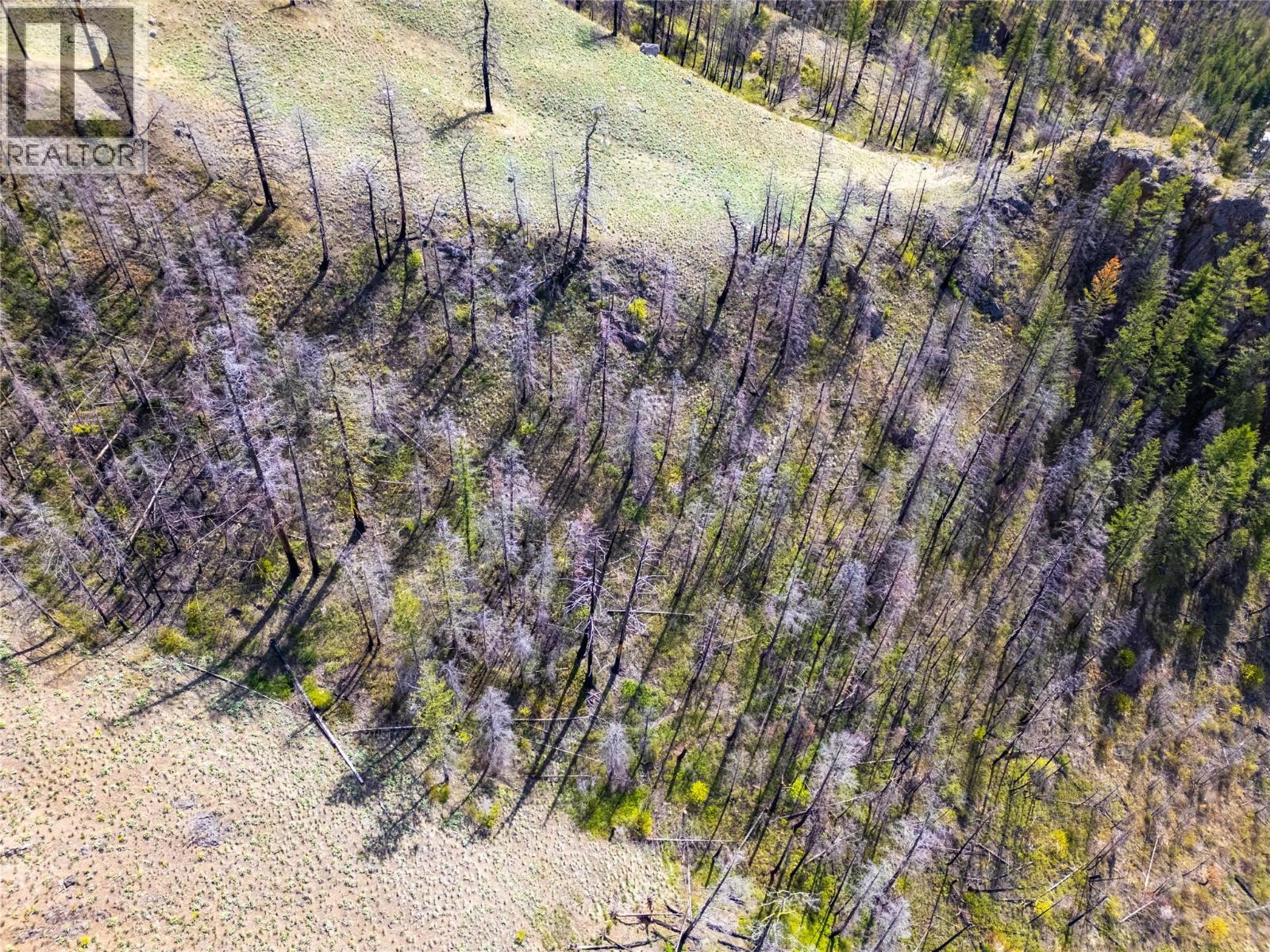 2603 Green Mountain Road, Keremeos, British Columbia  V0X 1N6 - Photo 15 - 10382607