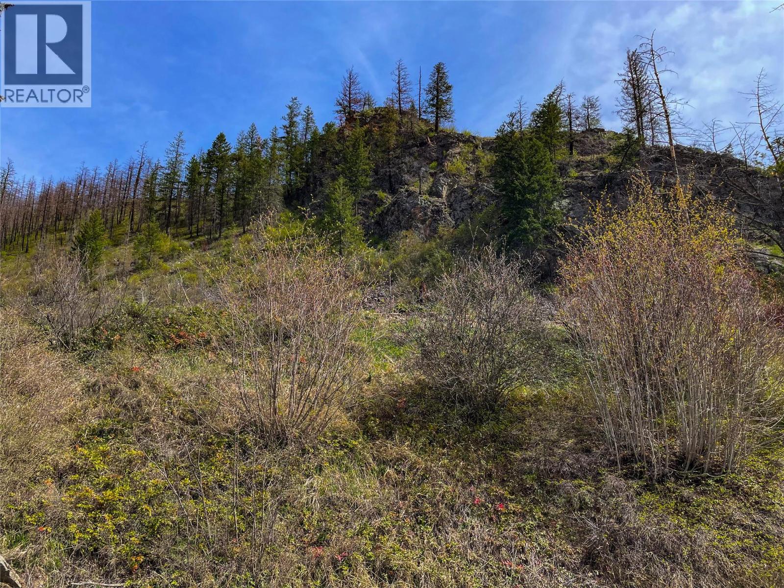 2603 Green Mountain Road, Keremeos, British Columbia  V0X 1N6 - Photo 19 - 10382607