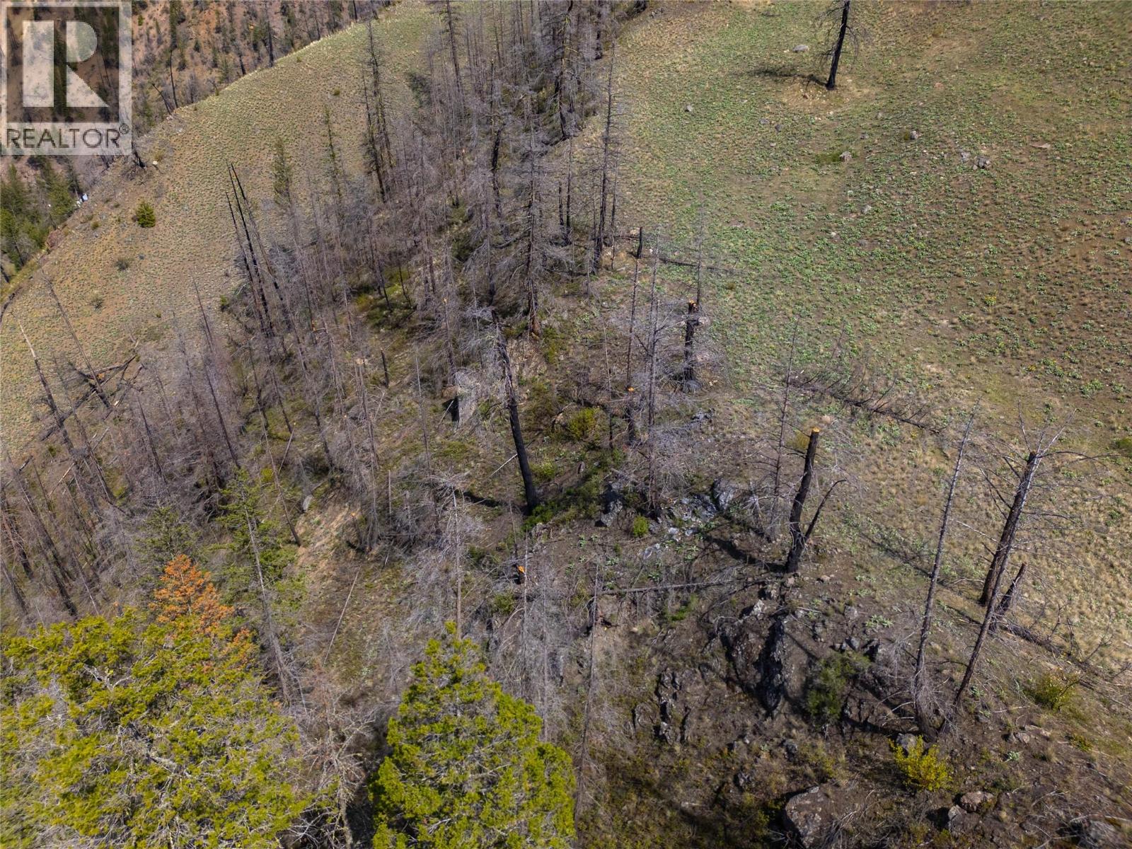 2603 Green Mountain Road, Keremeos, British Columbia  V0X 1N6 - Photo 51 - 10382607