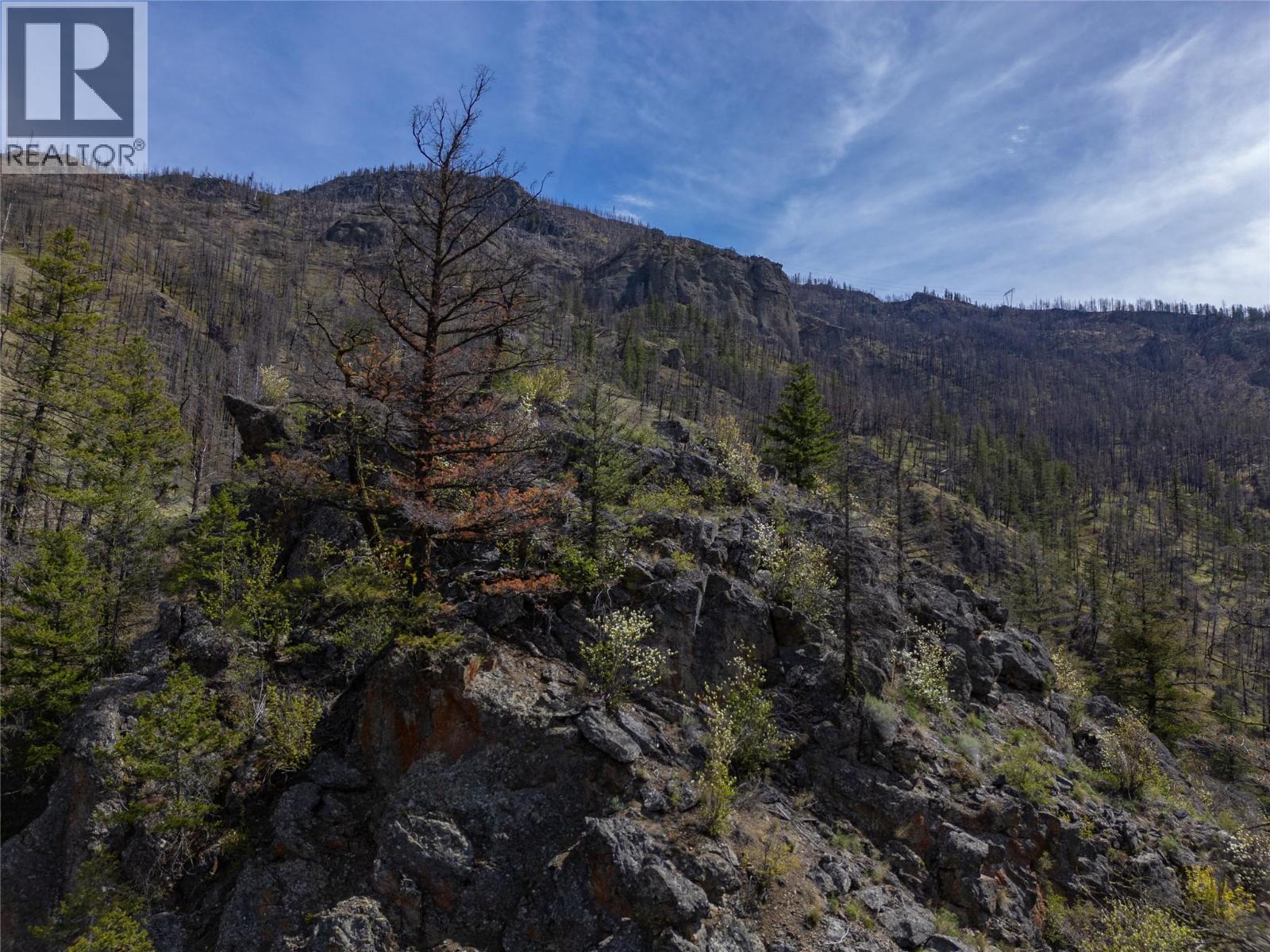 2603 Green Mountain Road, Keremeos, British Columbia  V0X 1N6 - Photo 32 - 10382607