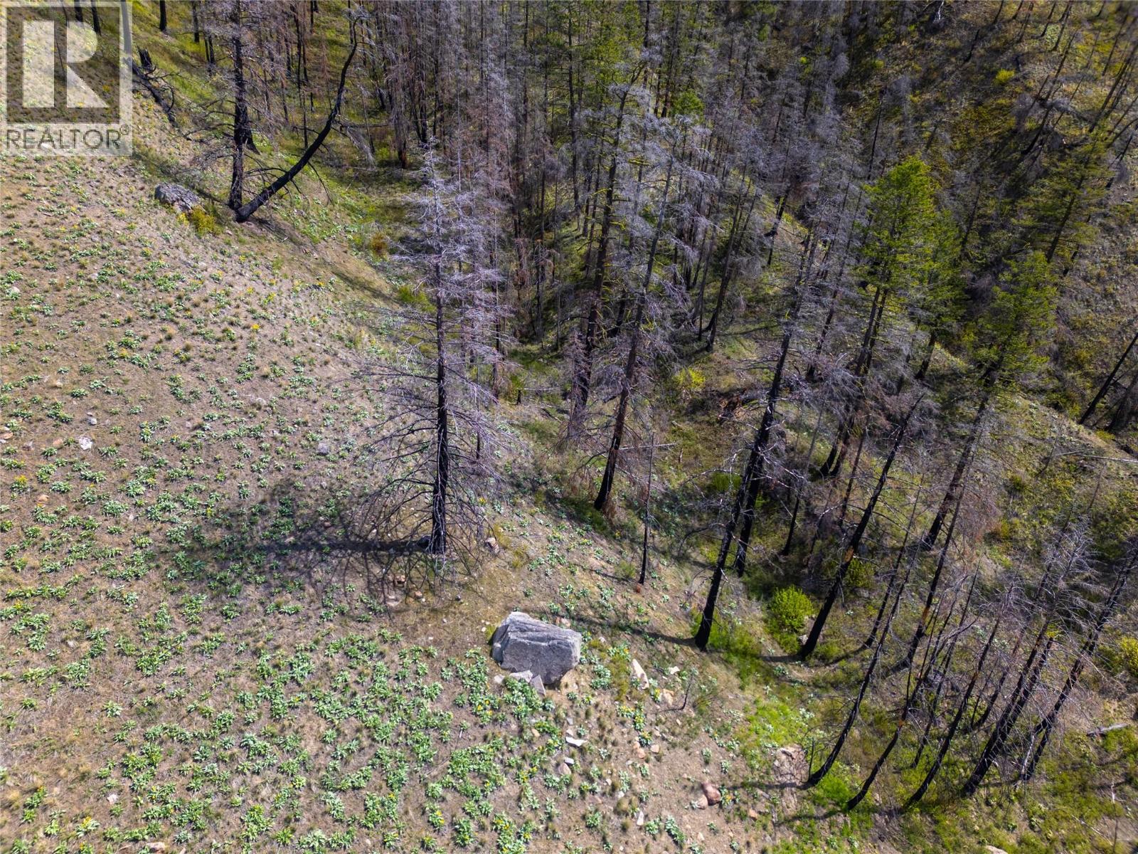 2603 Green Mountain Road, Keremeos, British Columbia  V0X 1N6 - Photo 77 - 10382607