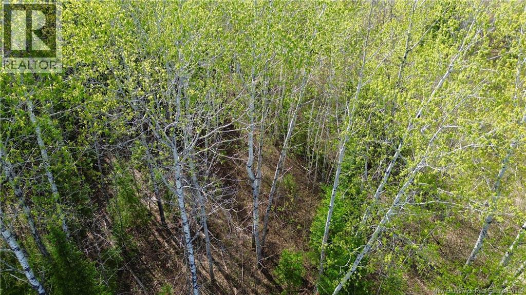 Na Route 430, Big River, New Brunswick  E2A 6V9 - Photo 3 - NB135108