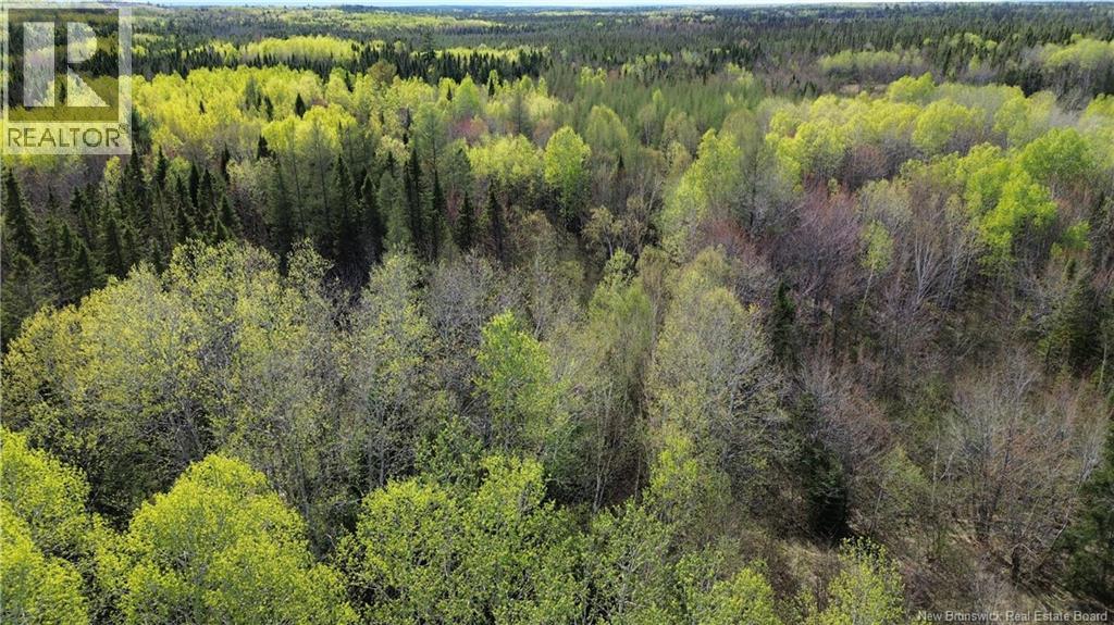 Na Route 430, Big River, New Brunswick  E2A 6V9 - Photo 1 - NB135108