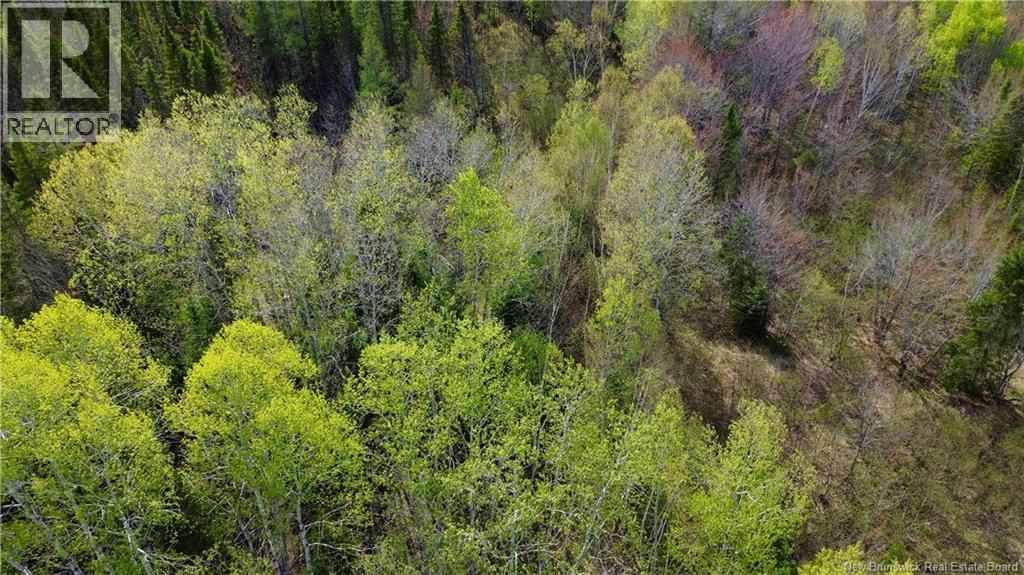 Na Route 430, Big River, New Brunswick  E2A 6V9 - Photo 2 - NB135108