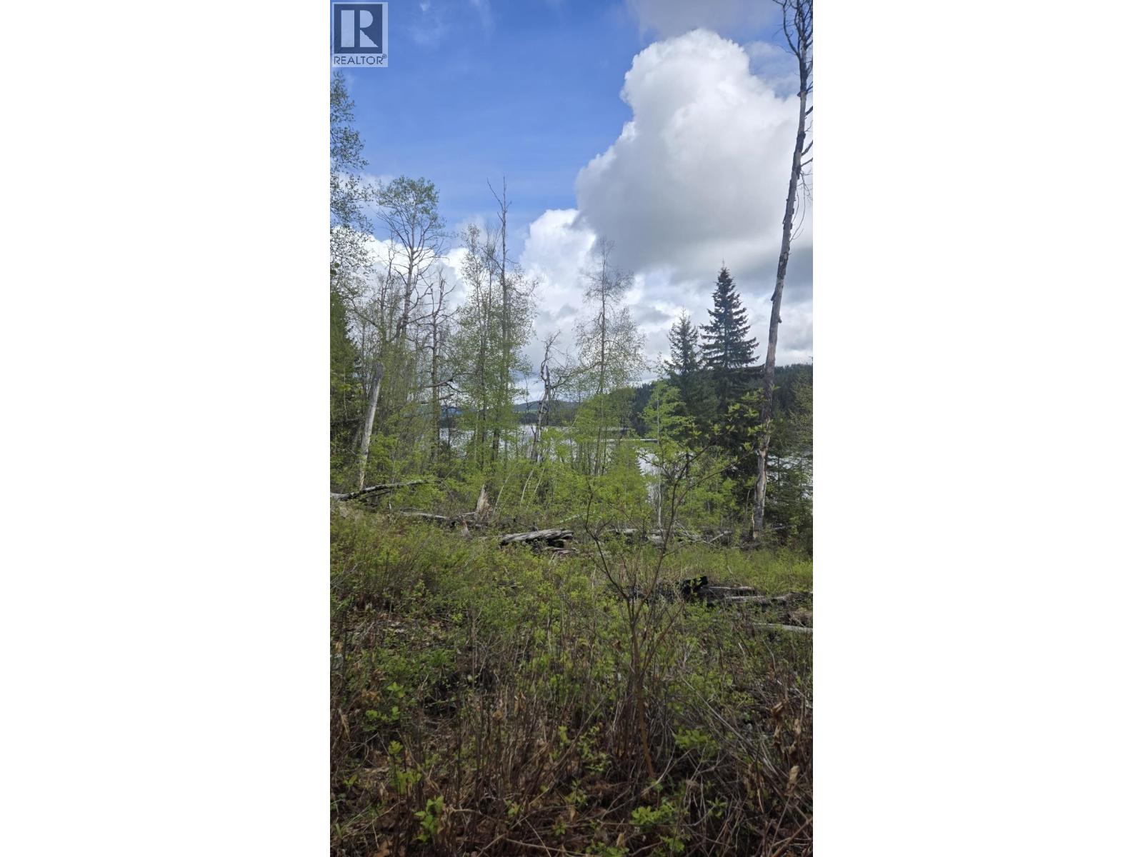 5858 Mahood Lake Road, Lone Butte, British Columbia  V0K 1X3 - Photo 8 - R3105524