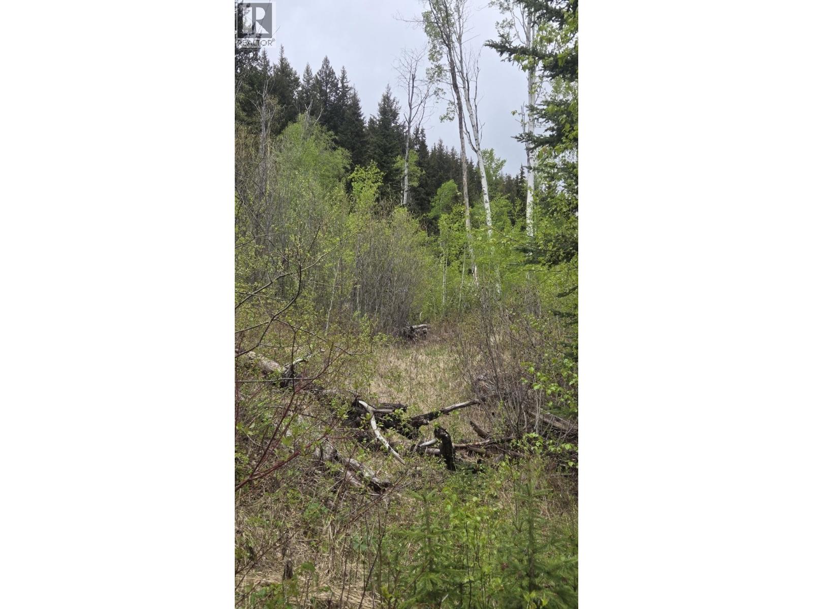5858 Mahood Lake Road, Lone Butte, British Columbia  V0K 1X3 - Photo 11 - R3105524