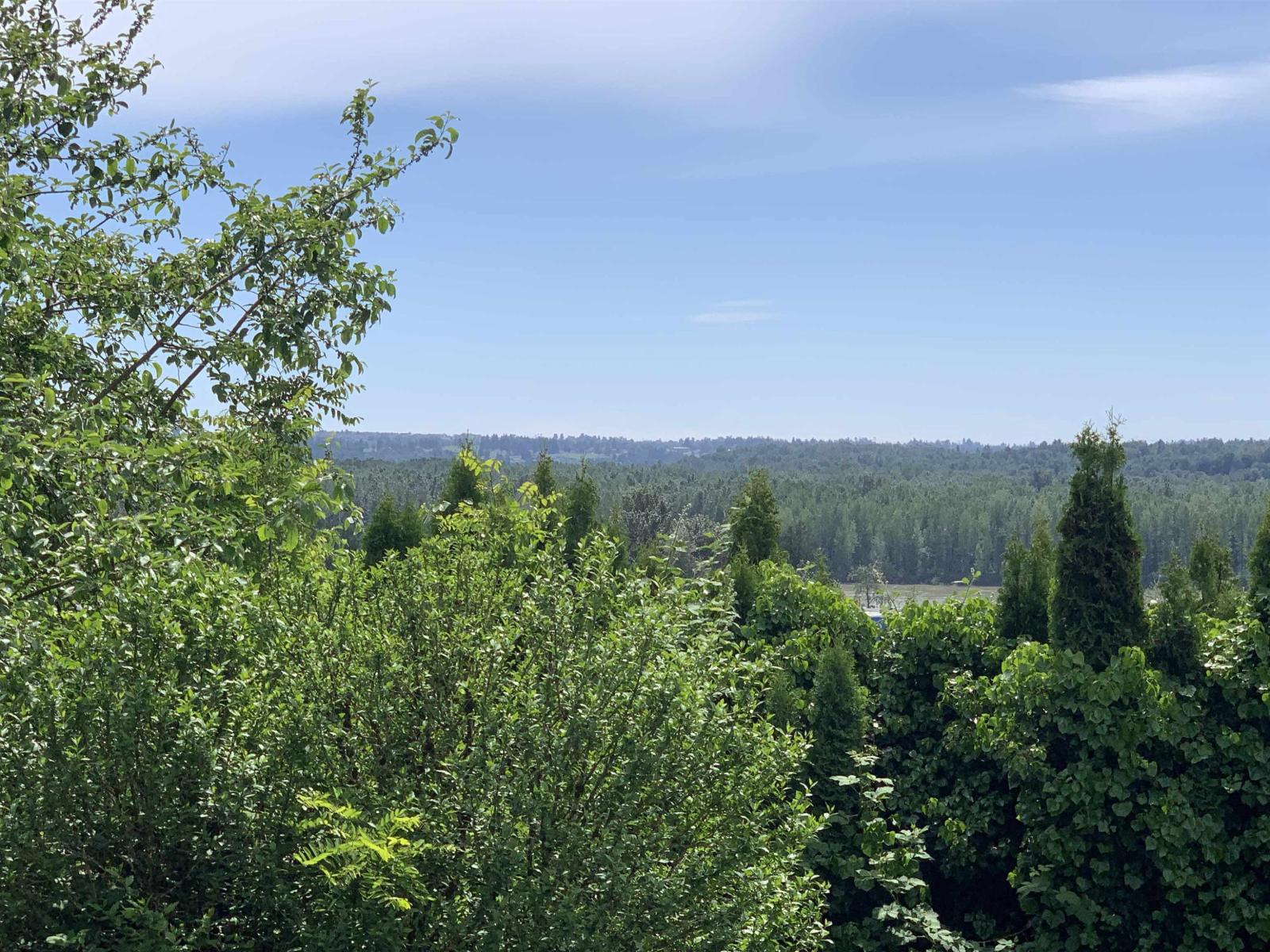 31964 Raven Avenue, Mission, British Columbia  V2V 1B9 - Photo 10 - R3124664