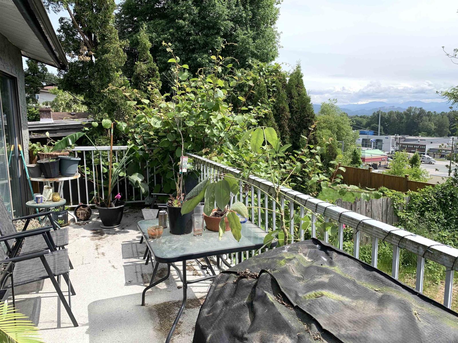 31964 Raven Avenue, Mission, British Columbia  V2V 1B9 - Photo 7 - R3124664