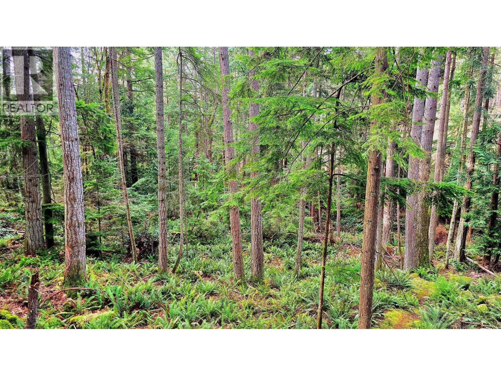 2070 Cape Drive, Bowen Island, British Columbia  V0N 1G2 - Photo 10 - R3125140
