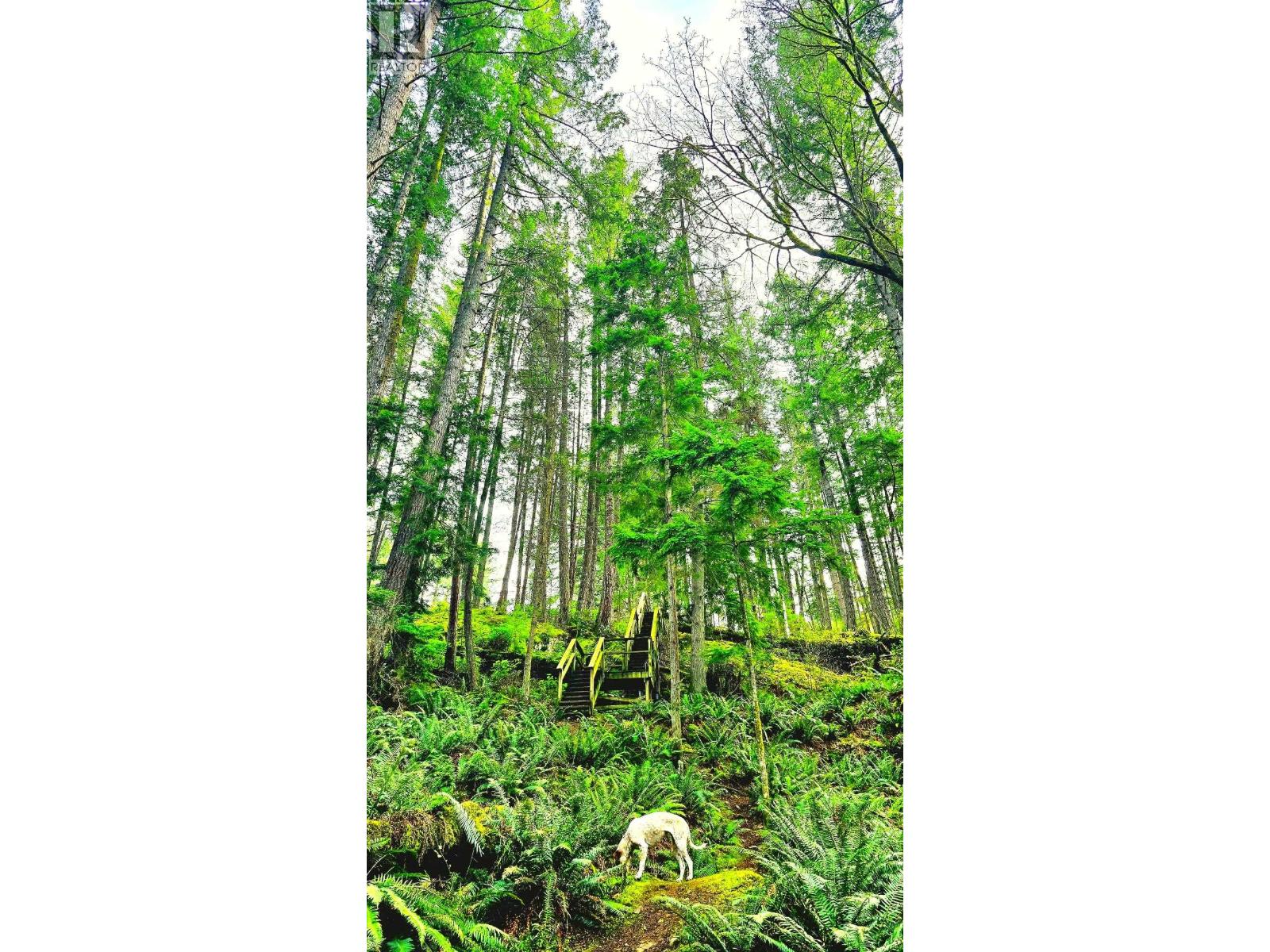 2070 Cape Drive, Bowen Island, British Columbia  V0N 1G2 - Photo 12 - R3125140