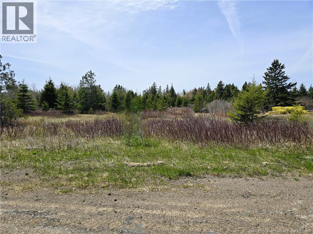 1.3 Acres Route 113, Miscou, New Brunswick  E8T 1C7 - Photo 1 - NB129299