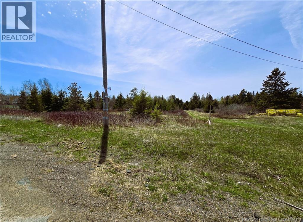 1.3 Acres Route 113, Miscou, New Brunswick  E8T 1C7 - Photo 7 - NB129299