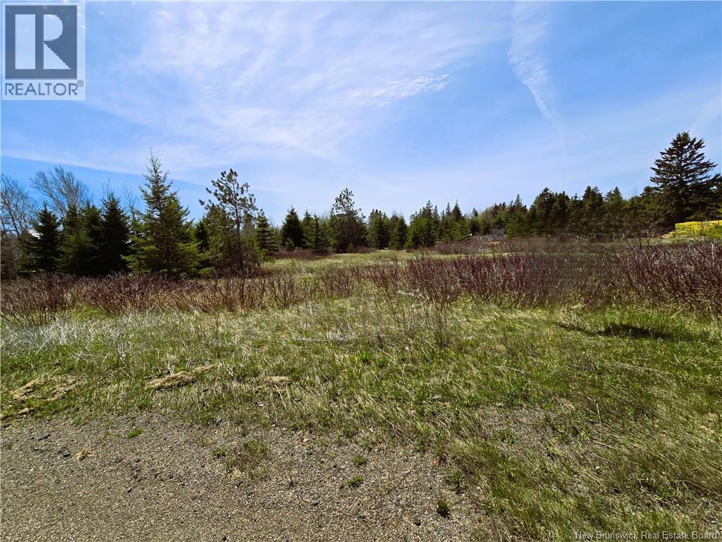 1.3 Acres Route 113, Miscou, New Brunswick  E8T 1C7 - Photo 4 - NB129299