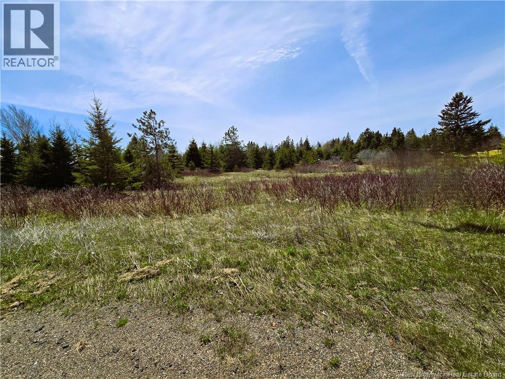 1.3 Acres Route 113, Miscou, New Brunswick  E8T 1C7 - Photo 9 - NB129299