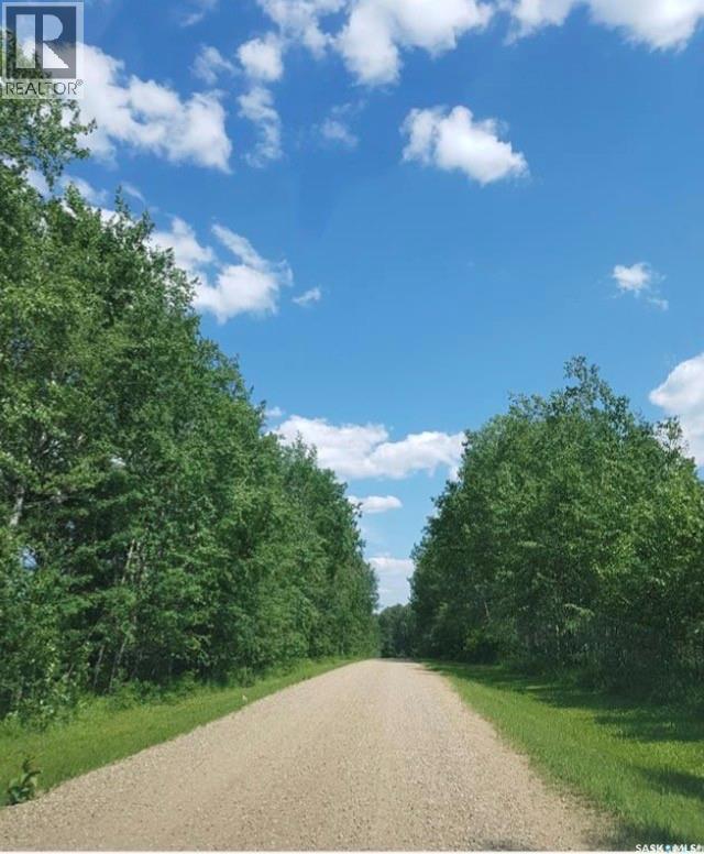 23 Delaronde Way (John Dunn Estates), Big River Rm No. 555, Saskatchewan  S0J 0E0 - Photo 5 - SK036459