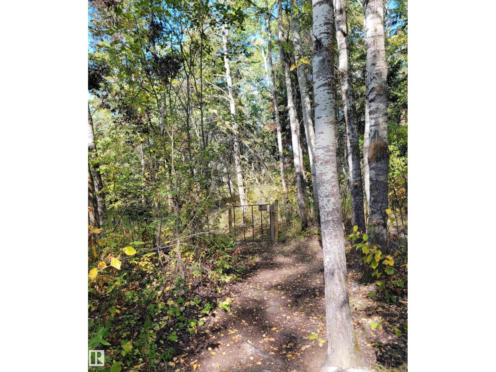 59311 Rr482, Rural Bonnyville M.d., Alberta  T0A 4A0 - Photo 12 - E4488643