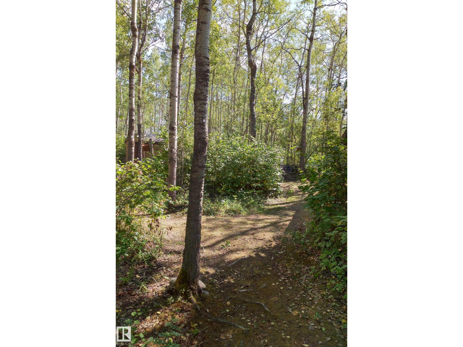 59311 Rr482, Rural Bonnyville M.d., Alberta  T0A 4A0 - Photo 16 - E4488643