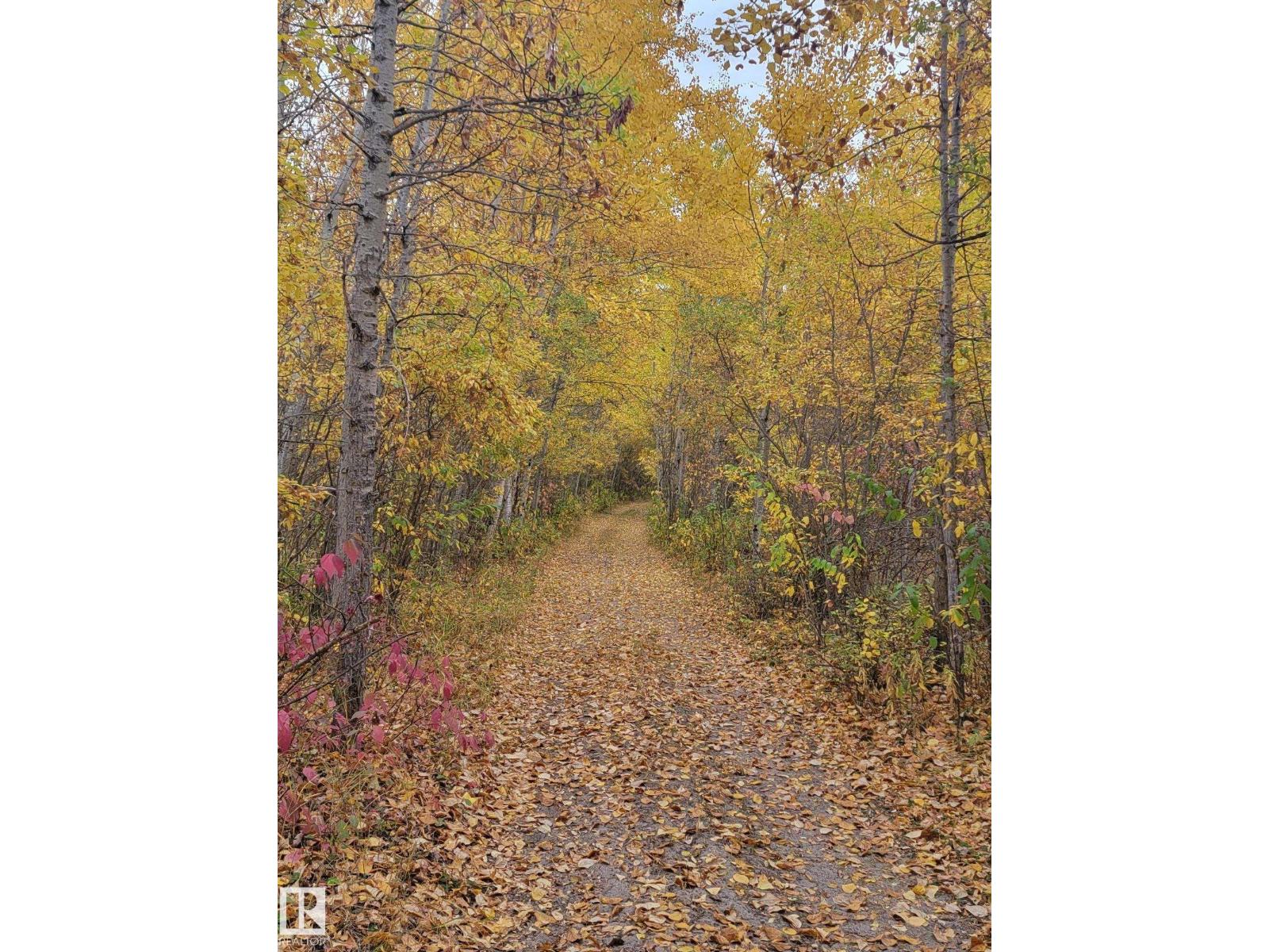 59311 Rr482, Rural Bonnyville M.d., Alberta  T0A 4A0 - Photo 25 - E4488643