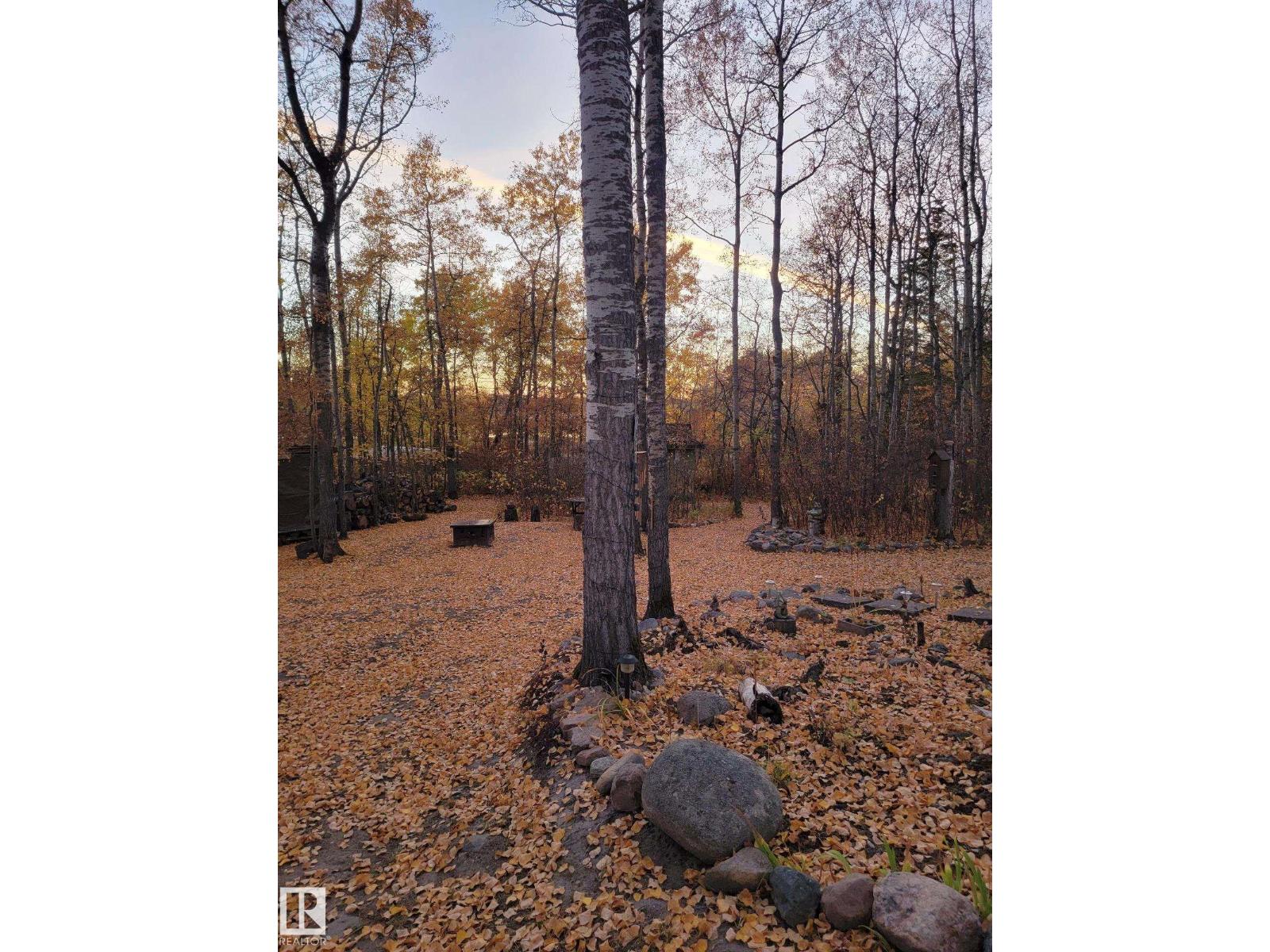59311 Rr482, Rural Bonnyville M.d., Alberta  T0A 4A0 - Photo 29 - E4488643