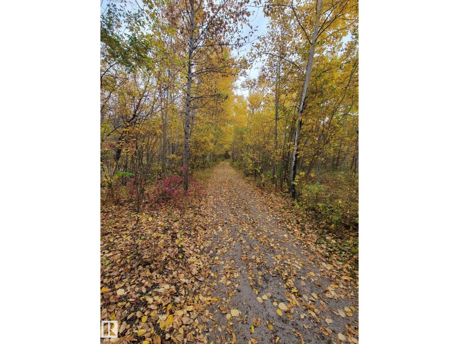 59311 Rr482, Rural Bonnyville M.d., Alberta  T0A 4A0 - Photo 31 - E4488643