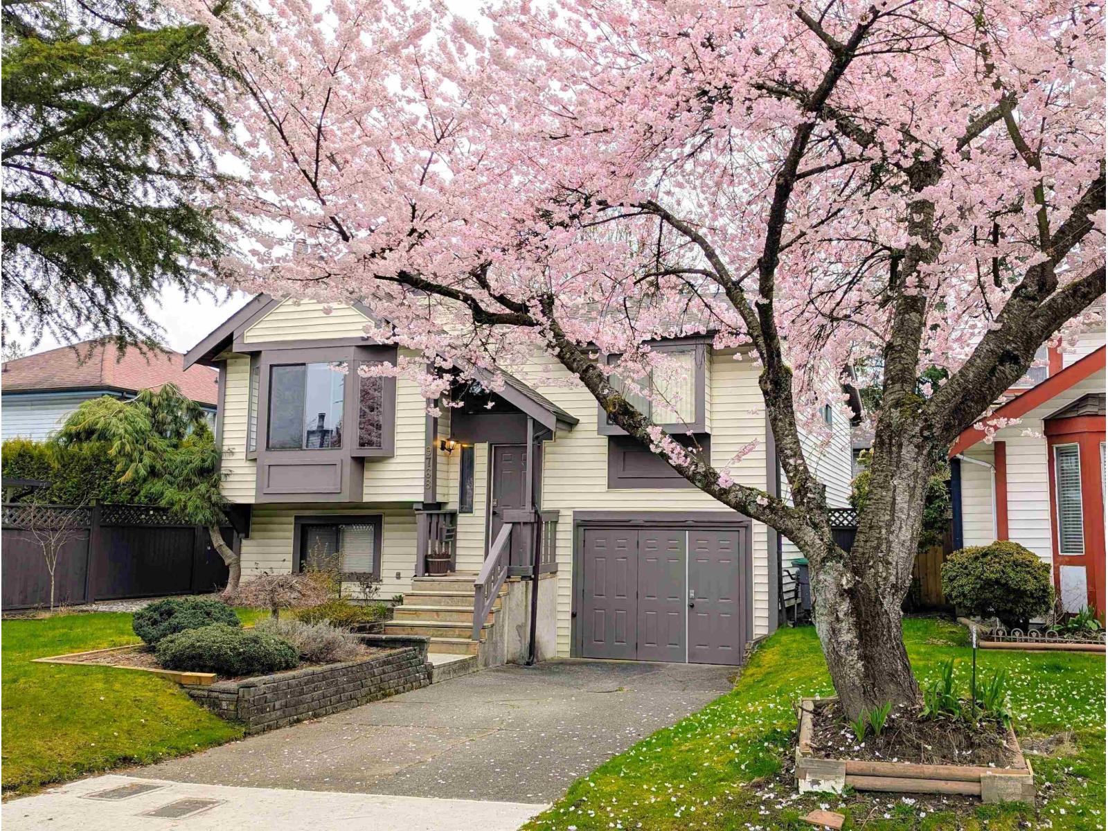 9768 151a Street, Surrey, British Columbia  V3R 8W8 - Photo 3 - R3125287