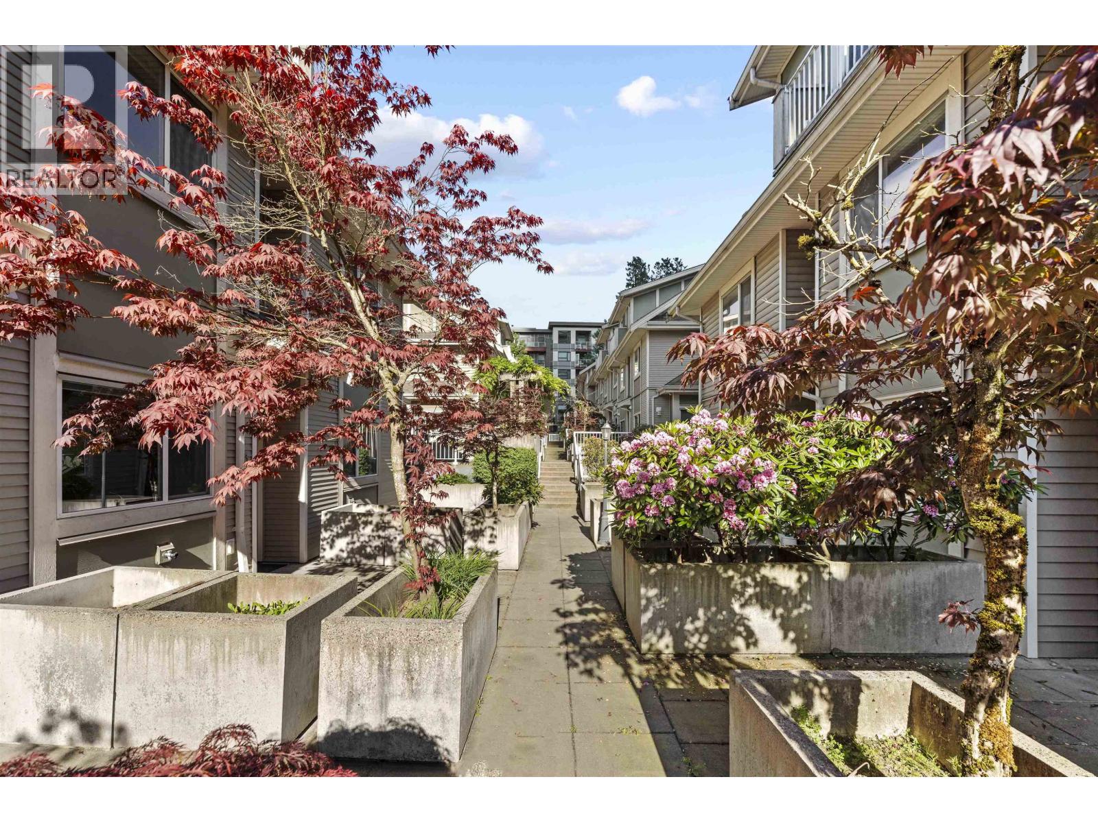 13 621 Langside Avenue, Coquitlam, British Columbia  V3J 0A8 - Photo 23 - R3125283