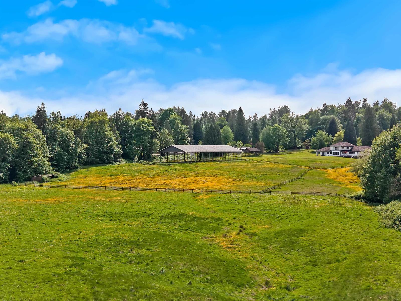 29598 Galahad Crescent, Abbotsford, British Columbia  V4X 2E4 - Photo 37 - R3125147