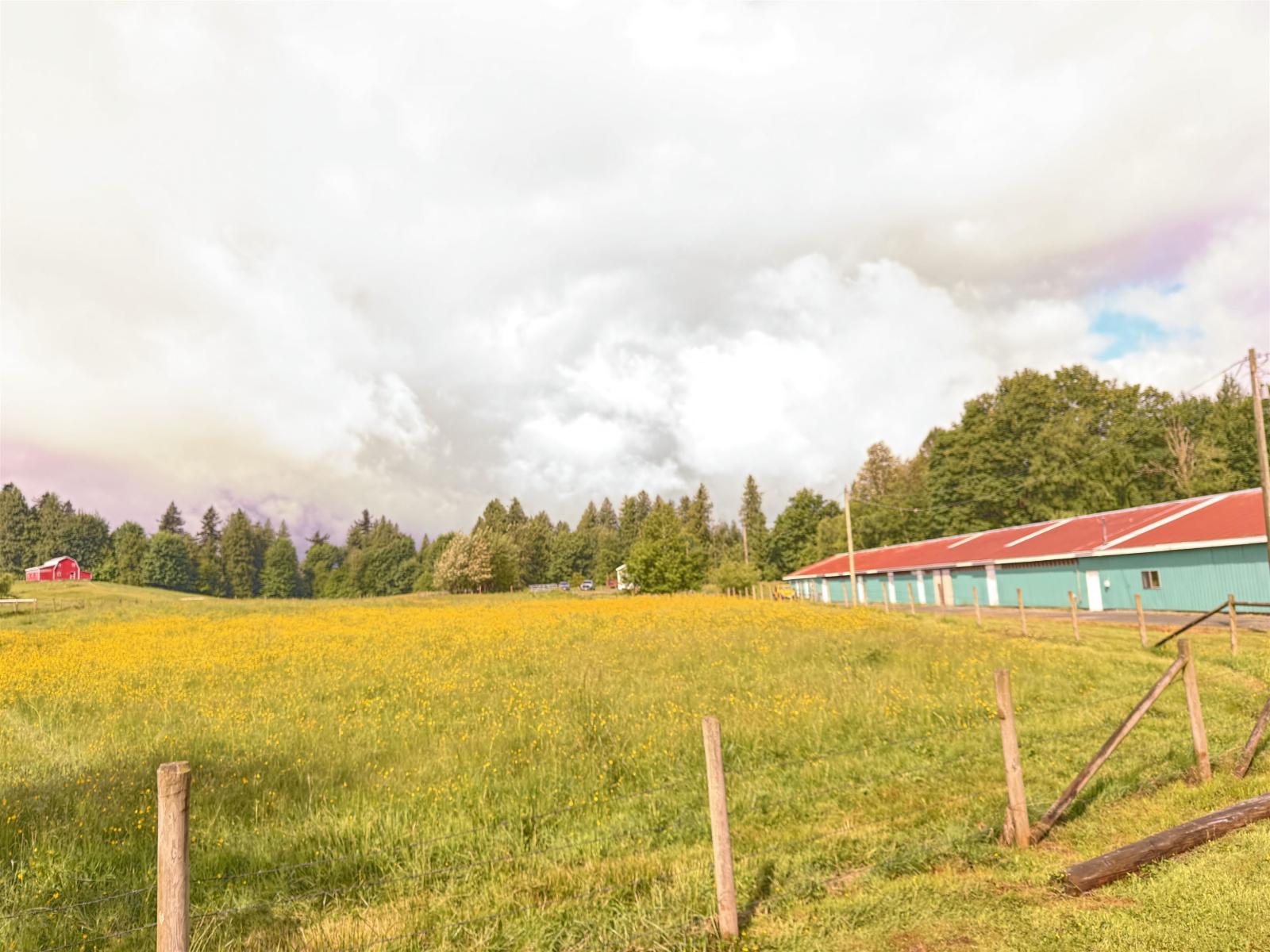 4393 Townline Road, Abbotsford, British Columbia  V4X 1Y7 - Photo 4 - R3124578