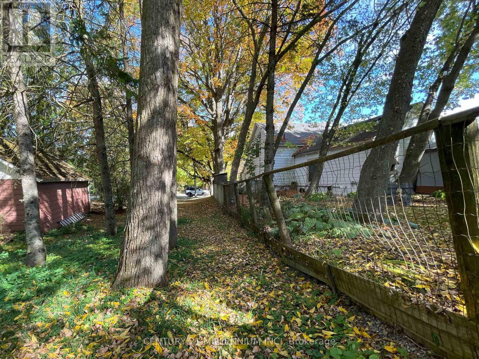 Plan 4a Blk 3 Lot 10 Mill Street, Amaranth, Ontario L9W 3Z3 - Photo 2 - X12470545