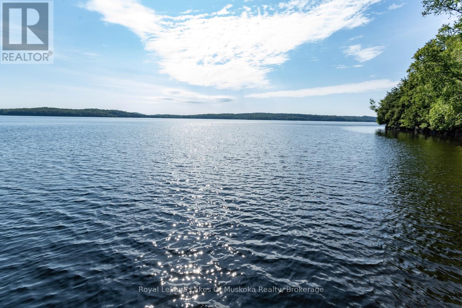 1078 Owls Court Lane, Lake Of Bays, Ontario  P1H 2J3 - Photo 30 - X13147006