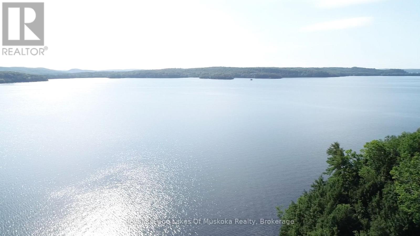 1078 Owls Court Lane, Lake Of Bays, Ontario  P1H 2J3 - Photo 35 - X13147006