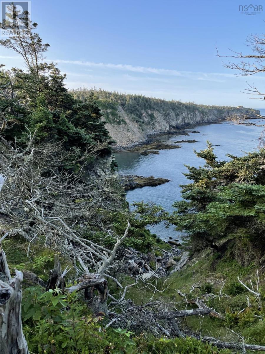 Lot 10cd-12 Pepperrell Road, Mavillette, Nova Scotia B5A 5B4 - Photo 35 - 202512476