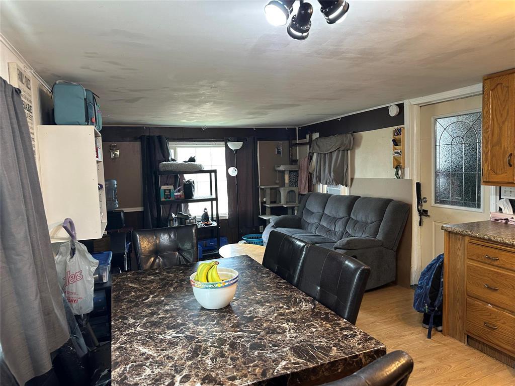 27 Cottonwood Trailer C Road, Grunthal, Manitoba R0A 0R0 - Photo 14 - 202610433