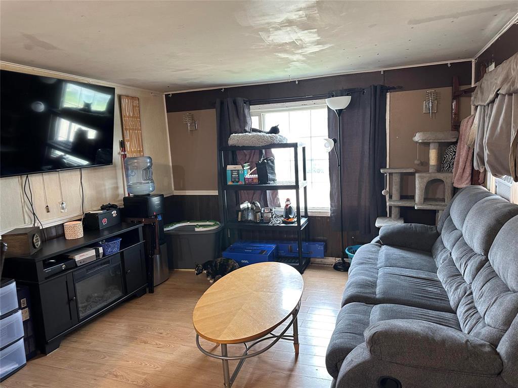 27 Cottonwood Trailer C Road, Grunthal, Manitoba R0A 0R0 - Photo 3 - 202610433