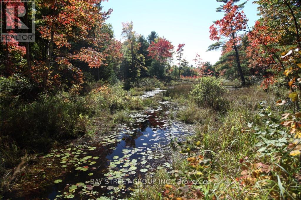 0 County Road 41 Road S, Addington Highlands, Ontario  K0H 1Z0 - Photo 2 - X13147170