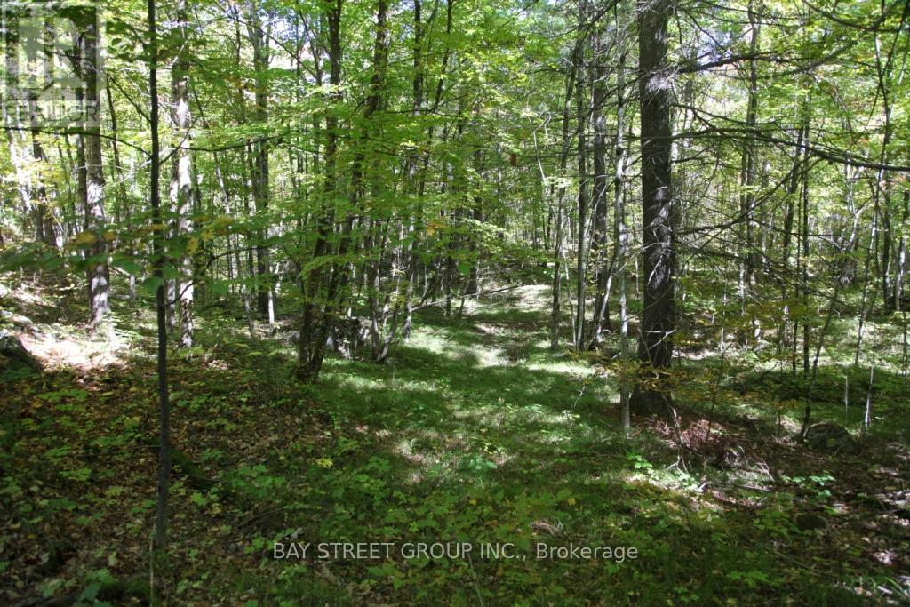 0 County Road 41 Road S, Addington Highlands, Ontario  K0H 1Z0 - Photo 3 - X13147170