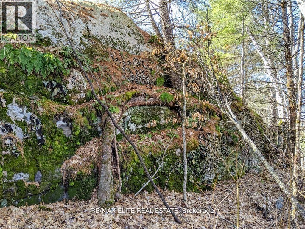 1322 Boomhauer Road, Frontenac, Ontario  K0H 1B0 - Photo 6 - X13147176
