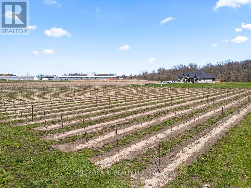 3265 Mountain Road, Lincoln, Ontario  L0R 1B2 - Photo 6 - X13147180