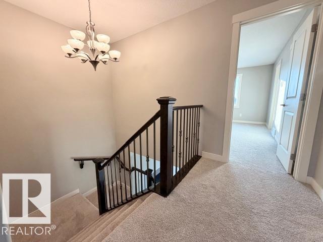 5025 53 Av, Calmar, Alberta  T0C 0V0 - Photo 17 - E4471586