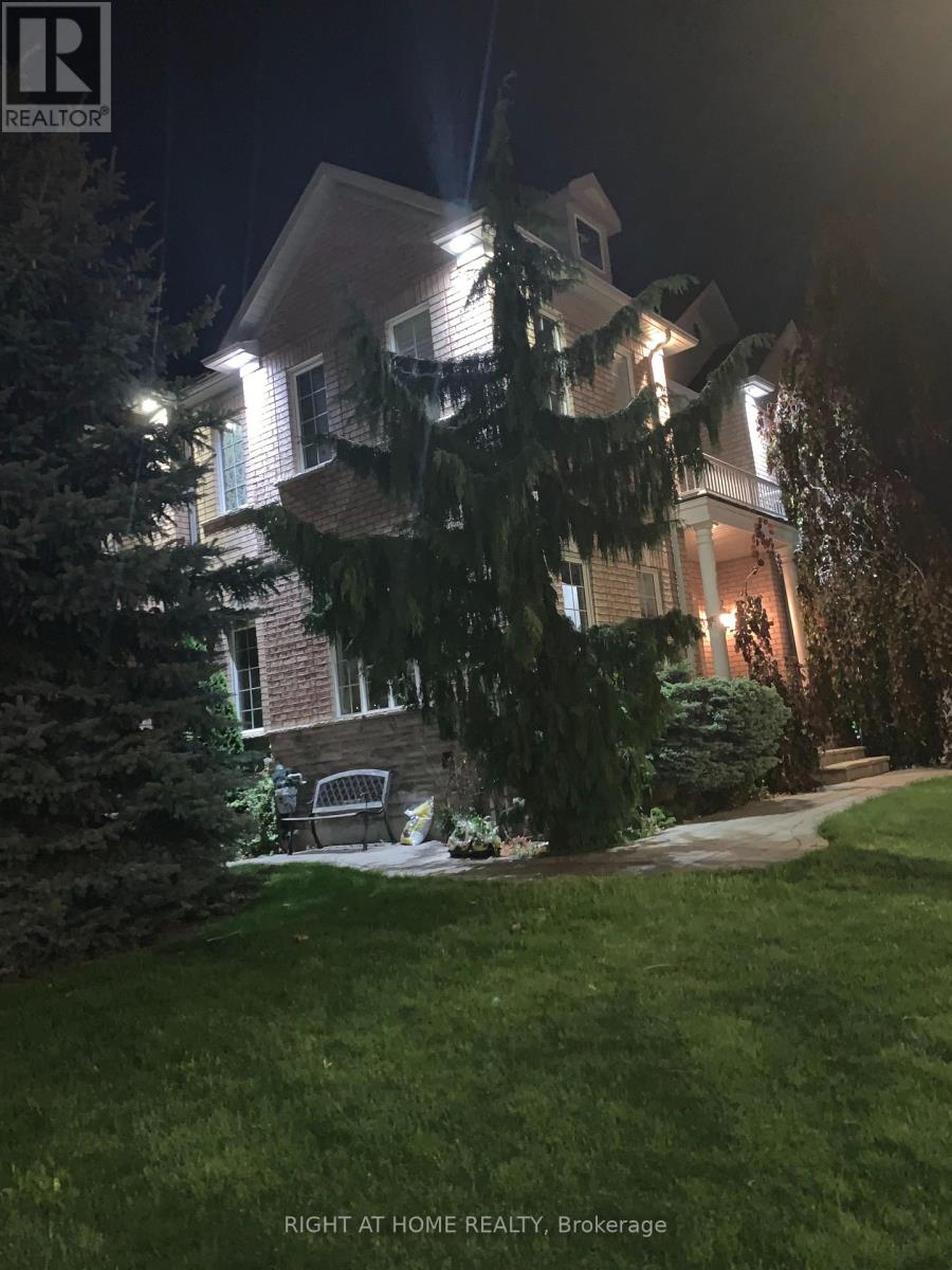 Bsmnt - 142 Maria Antonia Road, Vaughan, Ontario  L4H 2S8 - Photo 2 - N13128754