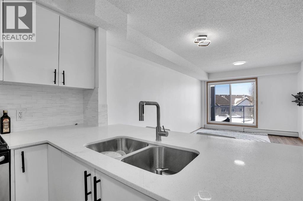 301, 92 Saddletree Court NE, Calgary, Alberta  T3J 0K9 - Photo 9 - A2286818