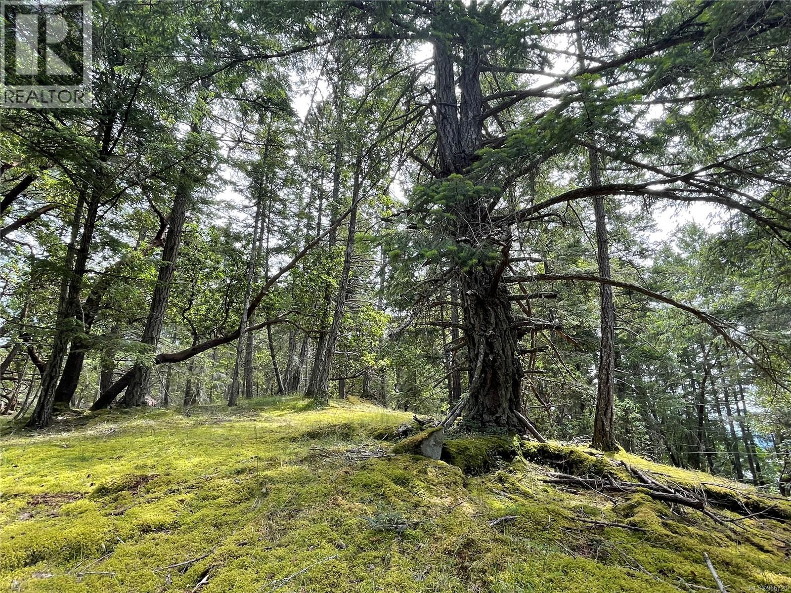 Lot 2 Driftwood Dr, Mudge Island, British Columbia  V0R 1X0 - Photo 23 - 965720