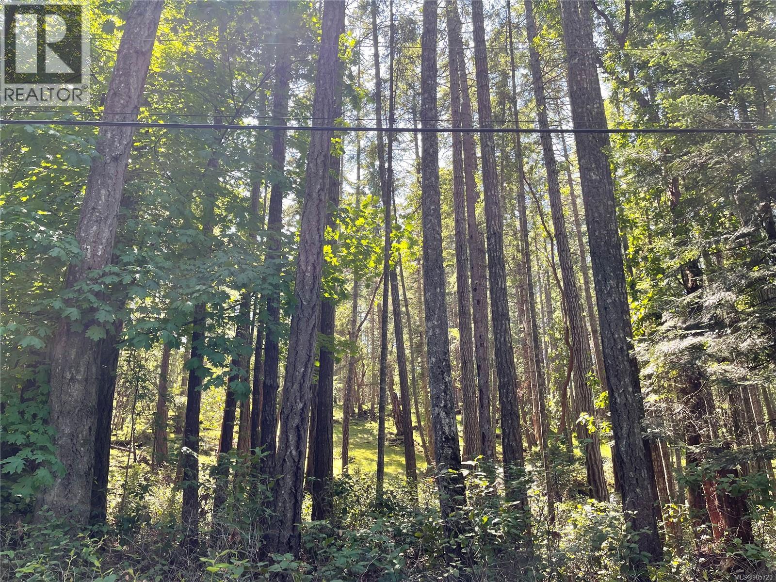 Lot 2 Driftwood Dr, Mudge Island, British Columbia  V0R 1X0 - Photo 16 - 965720