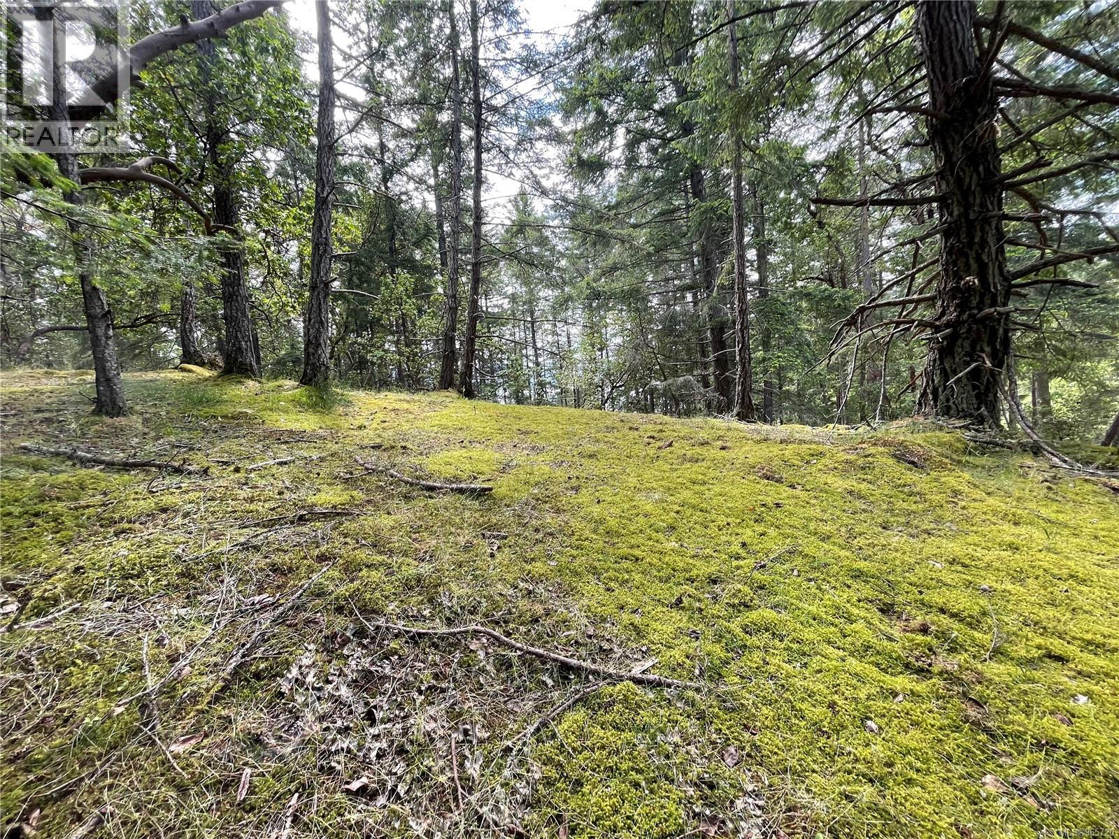 Lot 2 Driftwood Dr, Mudge Island, British Columbia  V0R 1X0 - Photo 28 - 965720