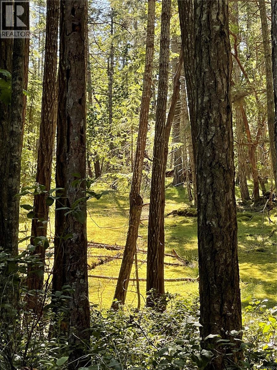Lot 2 Driftwood Dr, Mudge Island, British Columbia  V0R 1X0 - Photo 9 - 965720