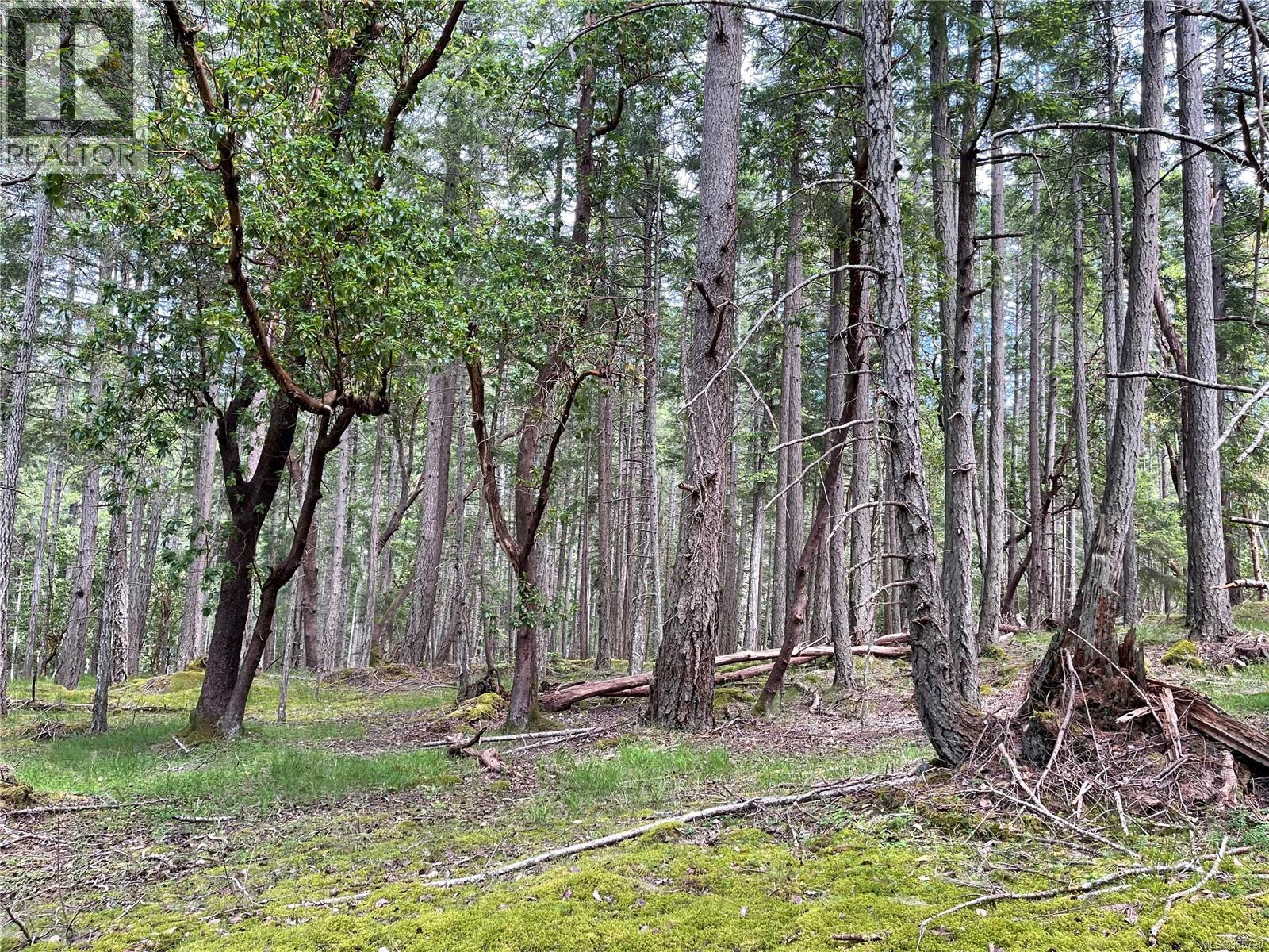 Lot 2 Driftwood Dr, Mudge Island, British Columbia  V0R 1X0 - Photo 25 - 965720