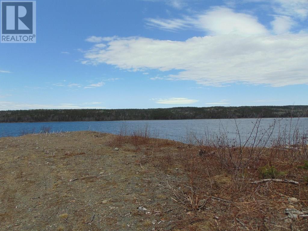 12 Lakeview Drive, Millertown, Newfoundland & Labrador  A0H 1V0 - Photo 17 - 1212369