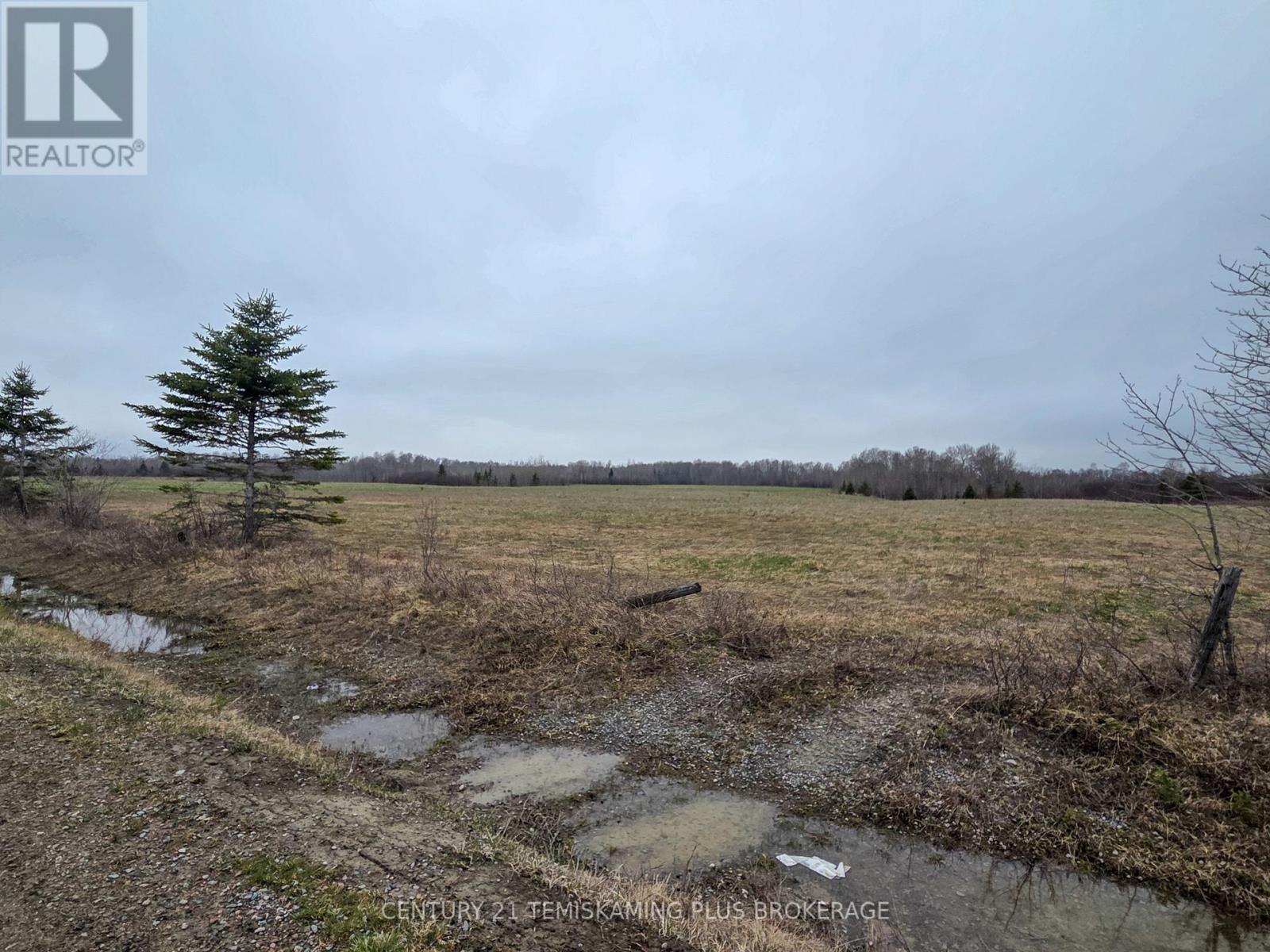 Lt 12 Con 4 Campbells Road, Englehart, Ontario  P0J 1B0 - Photo 24 - T13147674