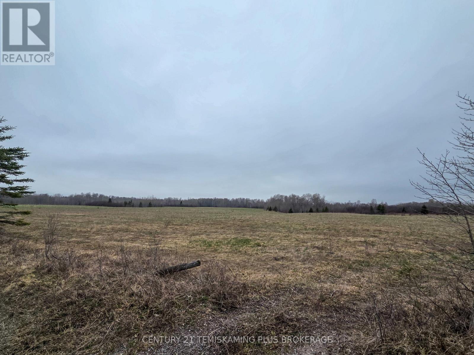 Lt 12 Con 4 Campbells Road, Englehart, Ontario  P0J 1B0 - Photo 25 - T13147674